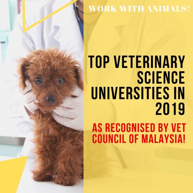 Top 10 Veterinary Science Universities in 2019 Recognised by Vet