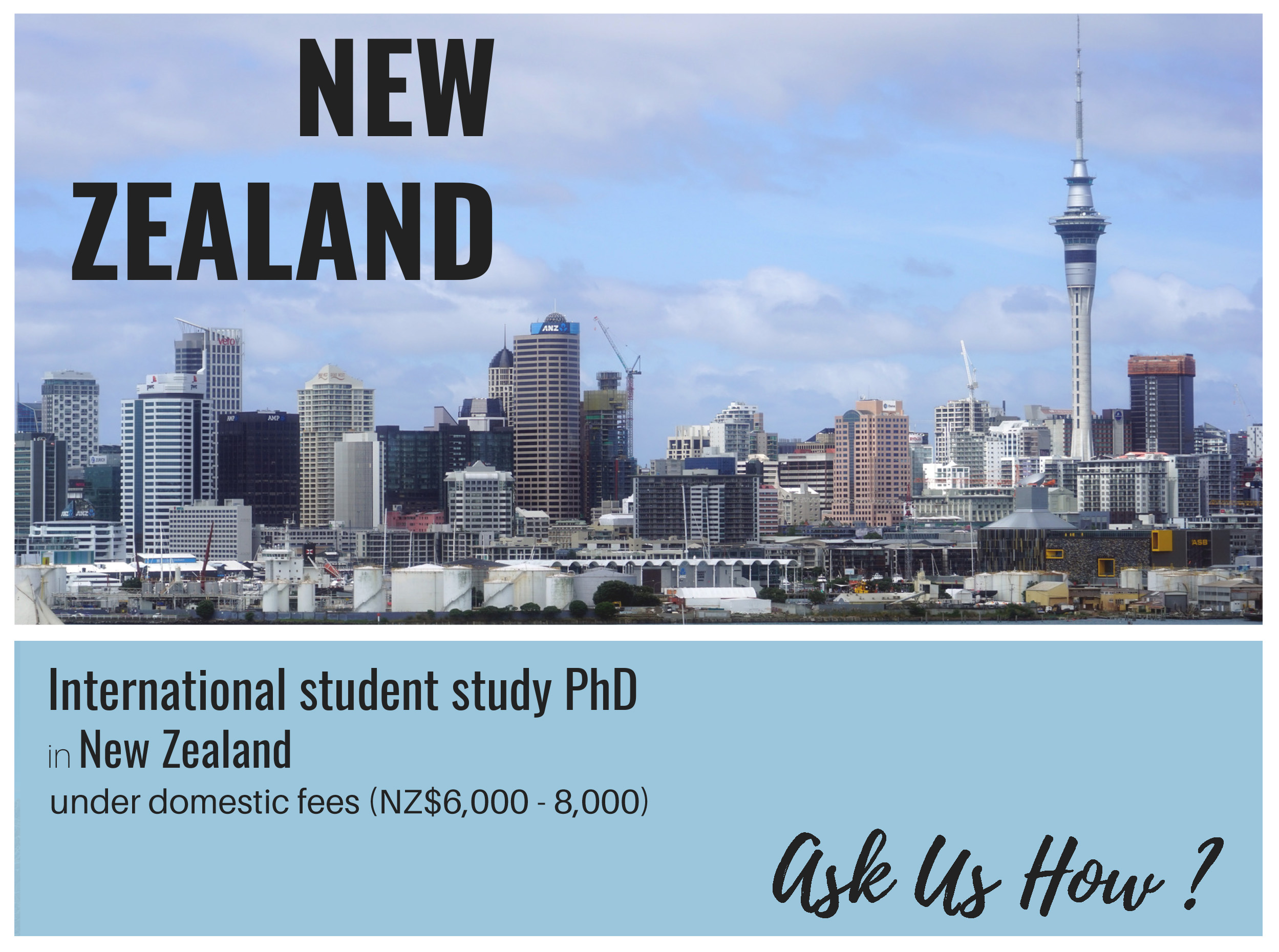 phd in management in new zealand for international students