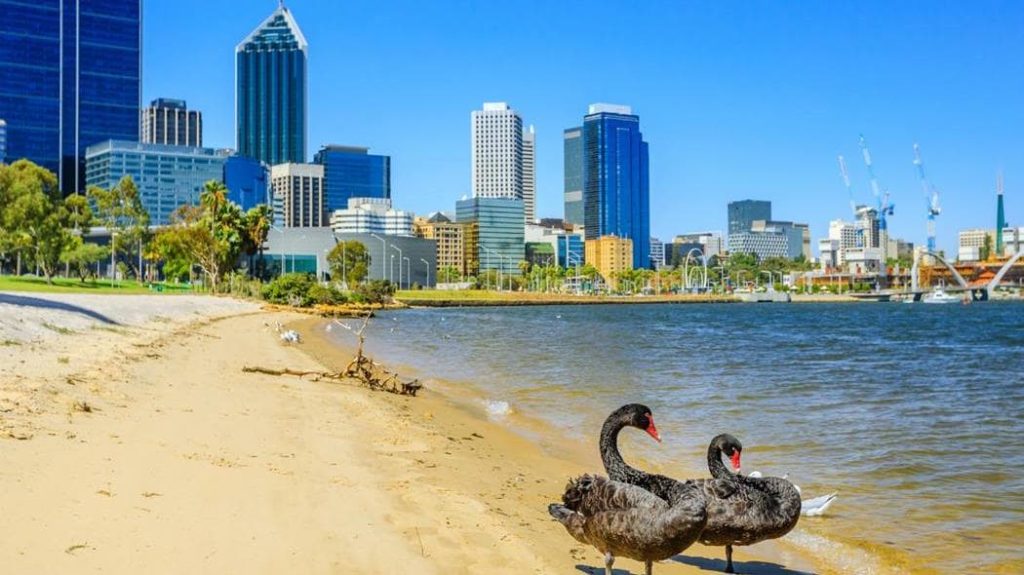 Top 5 Reasons To Study In Perth Australia Excel Education Study In 
