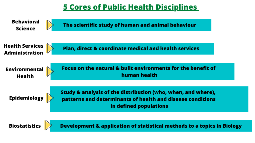 What is Public Health? Public Health Degrees & Careers in Australia - Excel  Education | Study in Australia, Malaysia, the UK & Canada