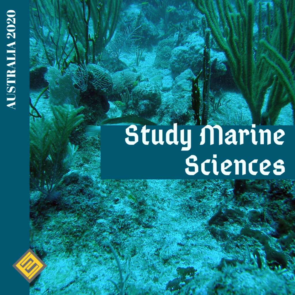 marine biology Archives - Excel Education | Study in Australia, Malaysia,  the UK & Canada