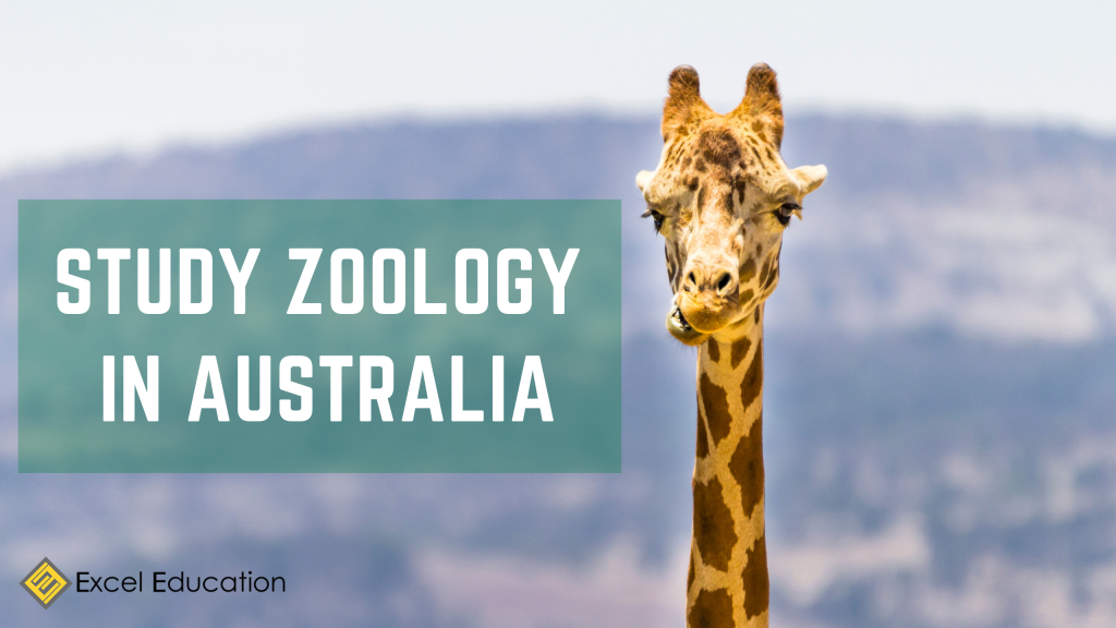 Study Zoology in Australia - Excel Education | Study in Australia,  Malaysia, the UK & Canada