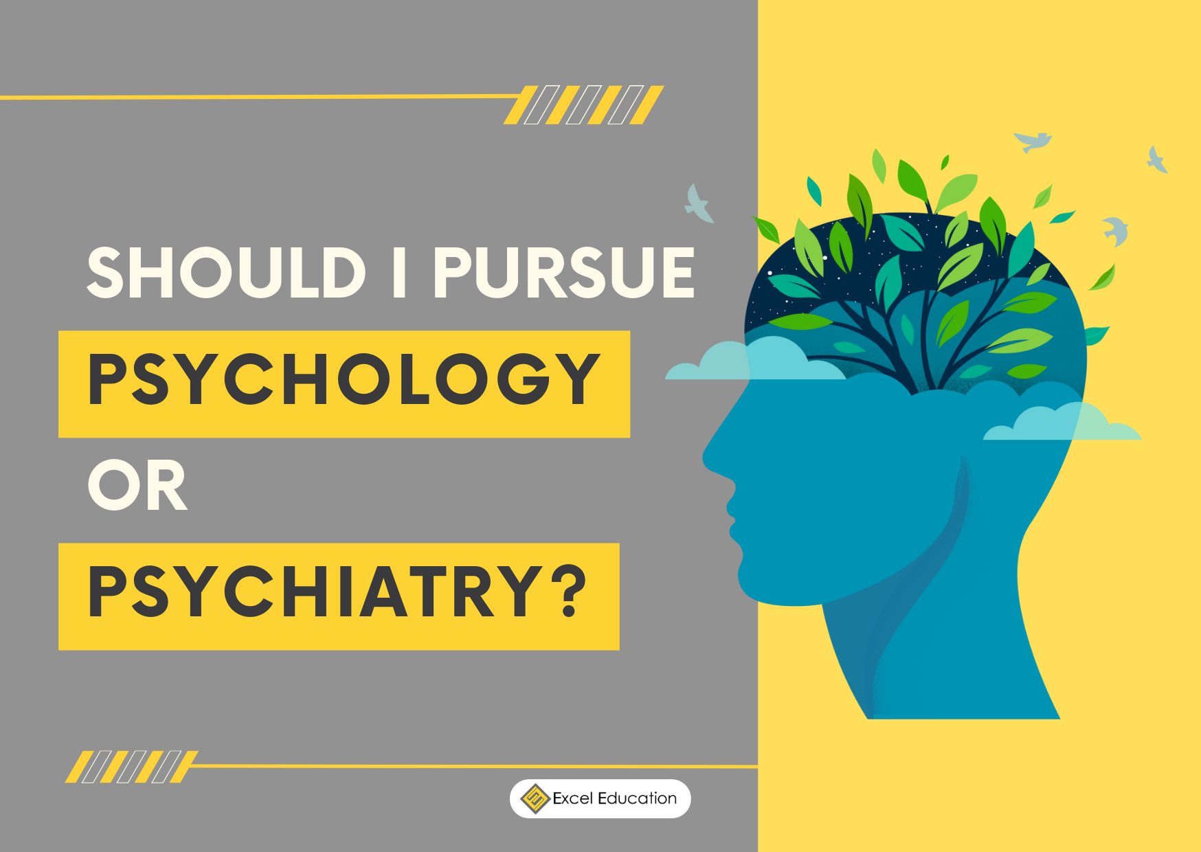 Should I pursue Psychology or Psychiatry? Excel Education Study in