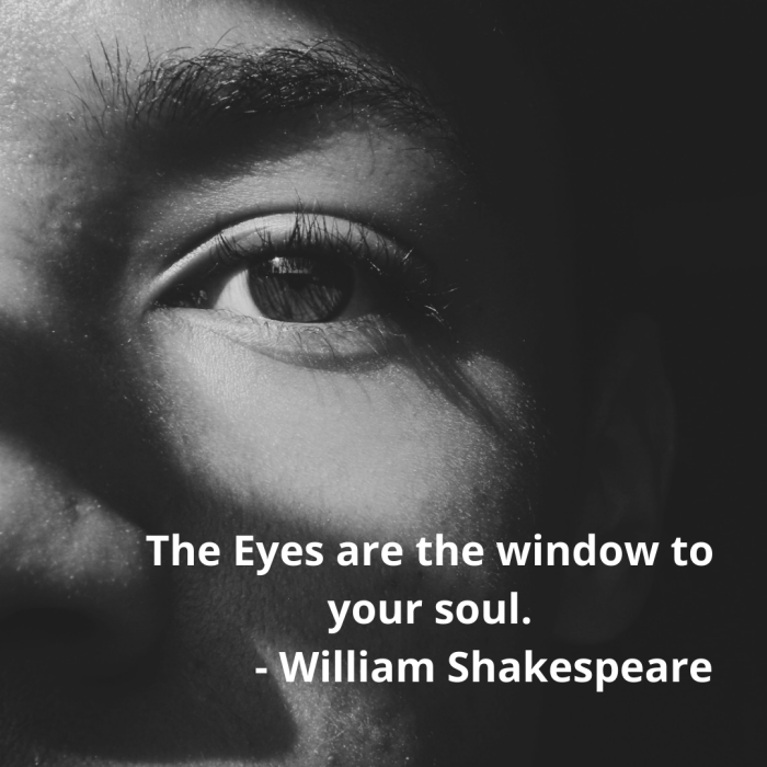 The Eyes are the window to your soul. - William Shakespeare