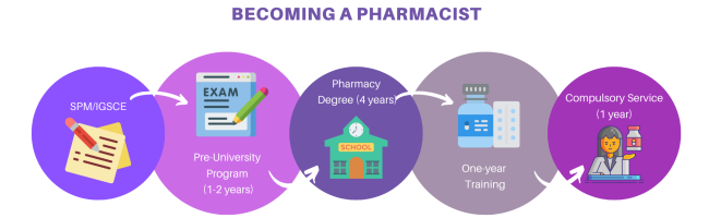 pharmacy pathway (2)
